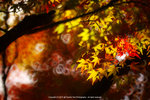 DSC01065