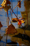 DSC01079