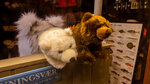 IMG_20250224_183158