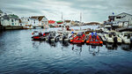 IMG_20250225_075656