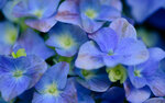 DSC_1728