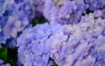 DSC_1885