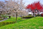 DSC01836