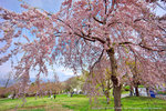DSC01850