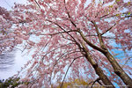 DSC01867