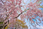 DSC01870