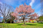 DSC01886