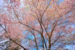 DSC01889