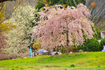 DSC02540