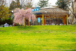 DSC02544
