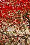 DSC02560