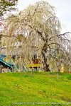 DSC02578