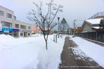 DSC03813