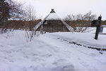 DSC04524