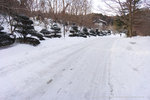 DSC04528