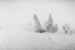 DSC04557