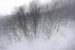 DSC04574