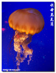 P1040315