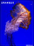 P1080763