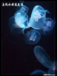 P1080824