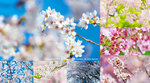 Cover_DSC05454