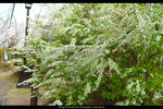 DSC05309