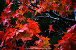 DSC00170
