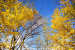 DSC01113