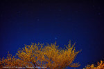 DSC00940