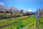 DSC01026