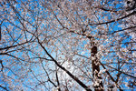 DSC01093