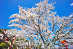 DSC01134