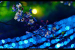 DSC04301