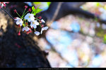 DSC04406