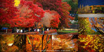 Combo_DSC00267