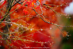 DSC00248