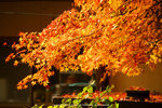 DSC00319
