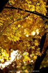 DSC00357