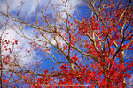 DSC00605