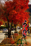 DSC00609