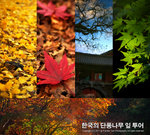 Cover_KoreaTrip2011