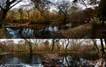 DSC_2566_Pano