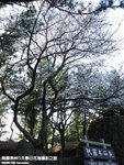 P3268780