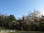P3268789