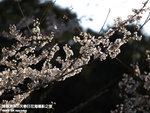 P3268809
