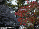 P3268898