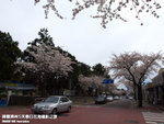 P3289497