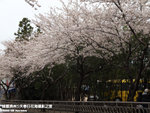 P3289503