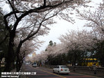 P3289506