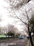 P3289524